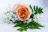 Picture of BOUTONNIERE